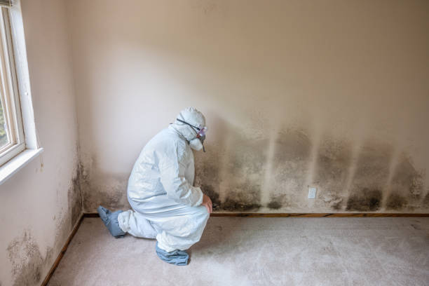 Best Fast Mold Removal  in Suquamish, WA
