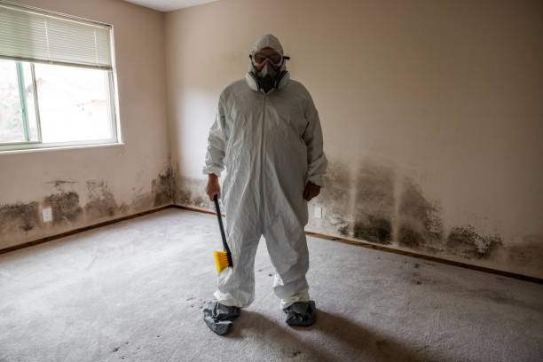 Best Emergency Mold Removal  in Suquamish, WA